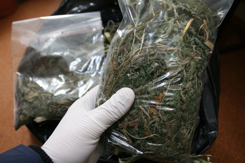 Gmina Strzyżewice: 4 kilogramy marihuany ukryte w komodzie