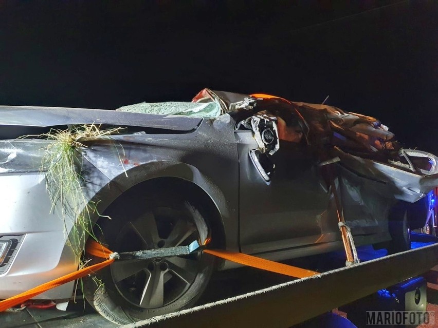 Tragedia w Konradowie pod Głuchołazami. Auto uderzyło w drzewo. Nie żyje 25-letni kierowca