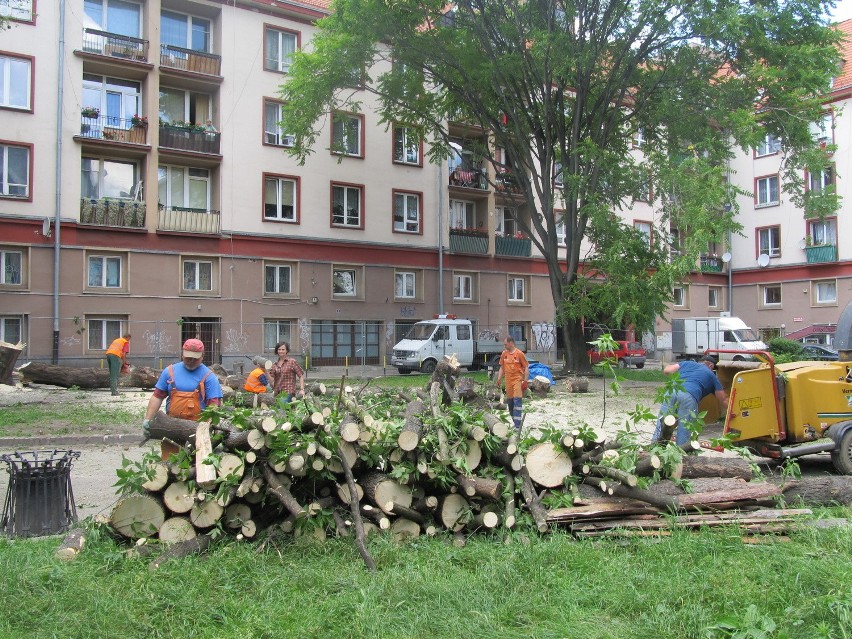 Wrocław: Wycinają drzewa na skwerku przy ul. Szewskiej