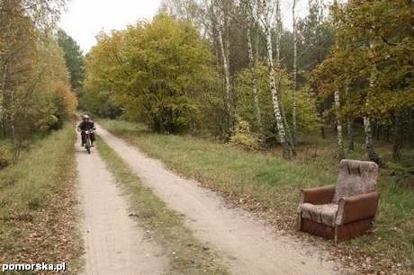 Fotel przy drodze leśnej