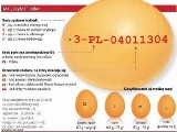 Uważajcie na ekologiczne jajka! Mogą zawierać dioksyny! [KODY NA JAJKACH]