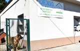 Animalsi w Oświęcimiu rezygnują z prowadzenia schroniska dla bezdomnych zwierząt. Główne powody to koszty i nowe przepisy. Zdjęcia