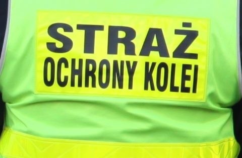 Skradzione elementy pochodziły z rozbiórki rewitalizowanej linii.