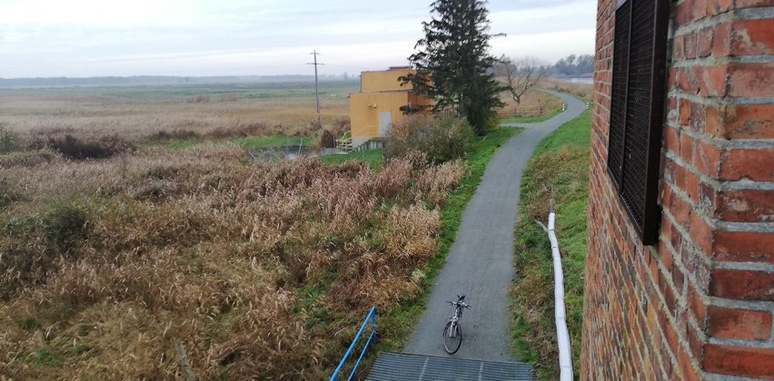 Przepiękna trasa rowerowa wzdłuż Zalewu Szczecińskiego. A to tylko fragment szlaku