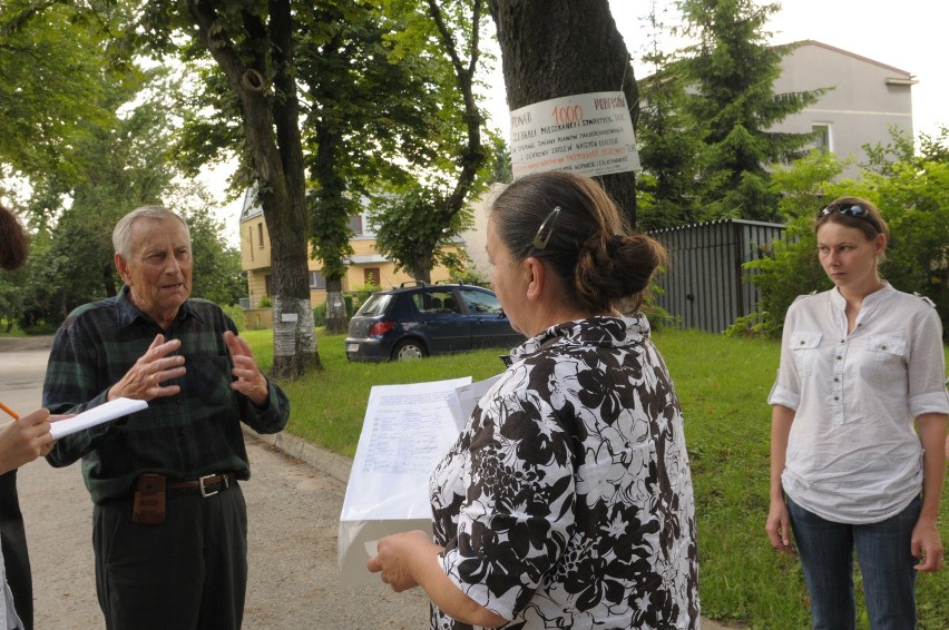 Aleja kasztanowców przy ul. Solarza będzie pomnikiem?