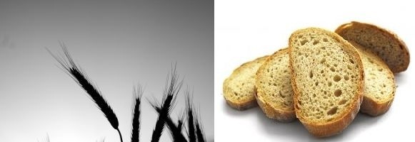 Ceny mąki rosną jak na drożdżach. Chleb też