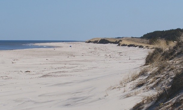 Słowiński Park Narodowy - plaża w Czołpinie.