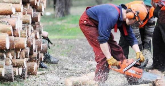Daniel Czajkowski z Zakładu Usług Leśnych "Dąb&#8221; tnie piłą pnie powalonych drzew na mniejsze kawałki