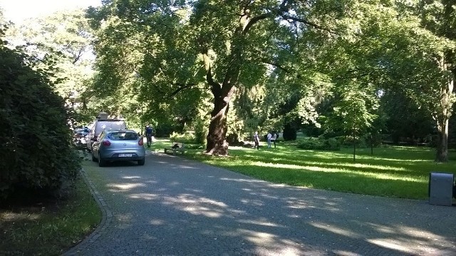 Policja dostała zgłoszenie o godzinie 6 rano. Ciało było mało widoczne