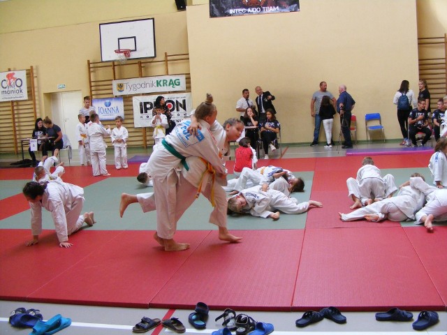 Intec Judo Cup - Kożuchów 2019, 14 września