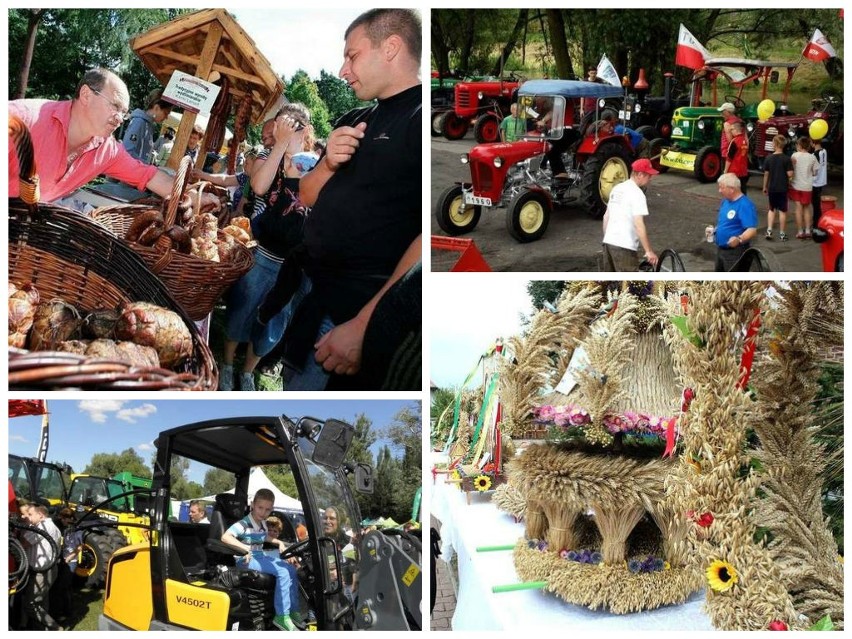 Festiwal Smaku w Grucznie, Wyścigi Traktorów w Wielowsi czy...