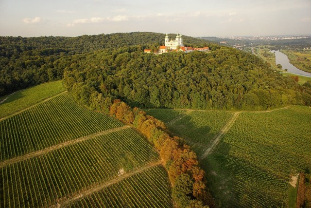 Srebrna Góra - tu powstają Wina Świętomarcińskie