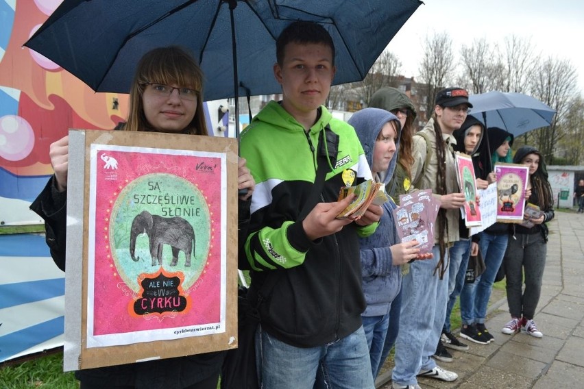 Protest przed cyrkiem w Wodzisławiu Śląskim