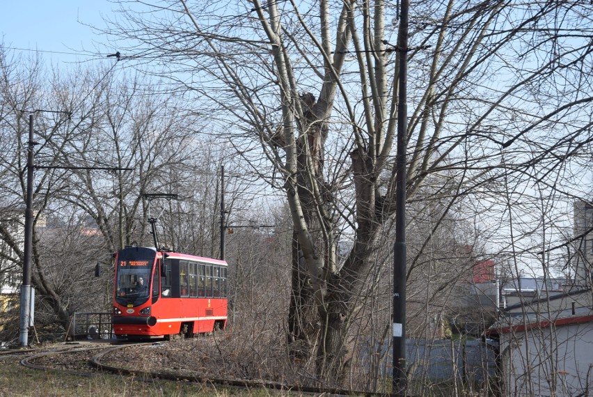 Autobusy i tramwaje jeżdżą jak w dni wolne od zajęć szkolnych. Zarząd Transportu Metropolitalnego ogranicza komunikację miejską w regionie