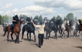 "Zadyma" na niby, czyli atestacja policyjnych koni w Łodzi [ZDJĘCIA+FILM]