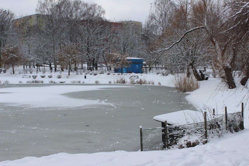 Park Kachla w Bytomiu zimą. Zobacz kolejne zdjęcia >>>