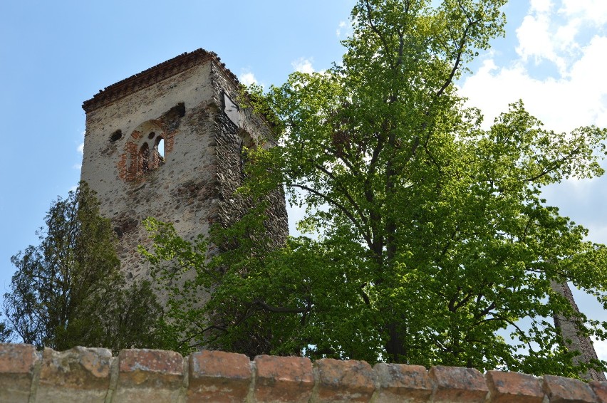 Ruiny gotyckiego kościoła w Złotniku.