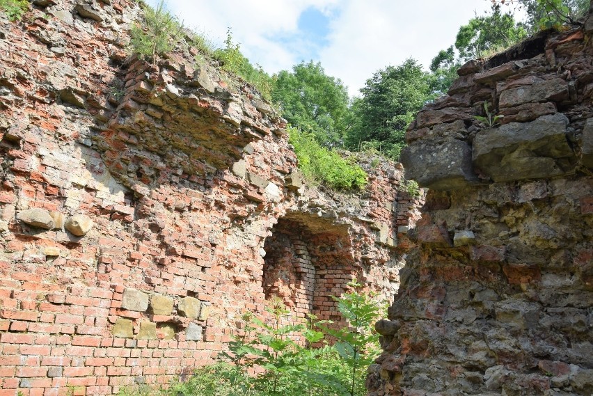 Przełomowy wyrok NSA w sprawie własności działek z ruinami zamku w Tarnowie. Coraz bliżej końca sądowego sporu między miastem i Sanguszkami
