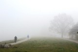 Uwaga kierowcy! Gęste mgły na drogach w Kujawsko-Pomorskiem