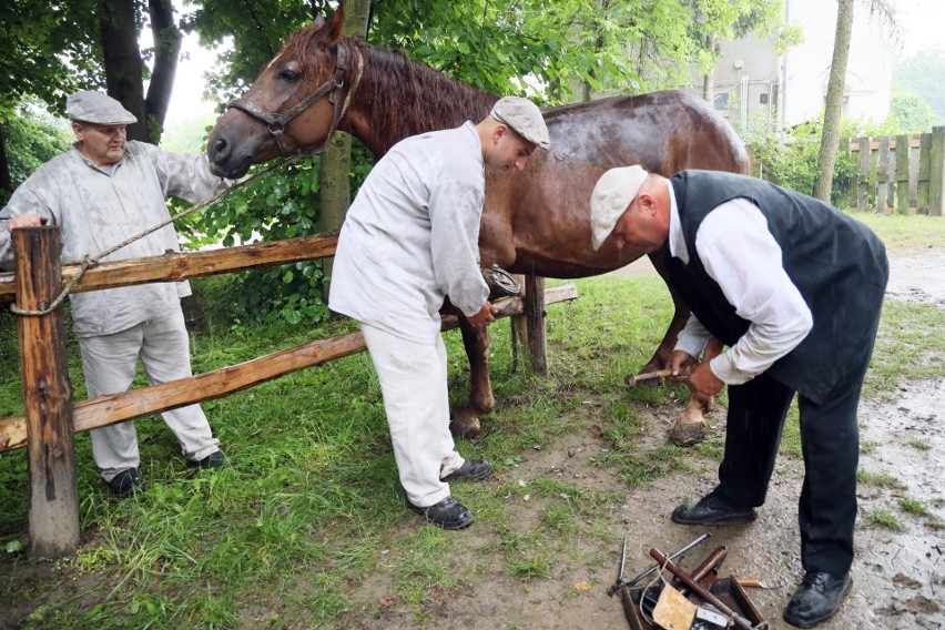 Tak kiedyś targowano się o konie. Zobacz zdjęcia z Jarmarku Końskiego w Skansenie             