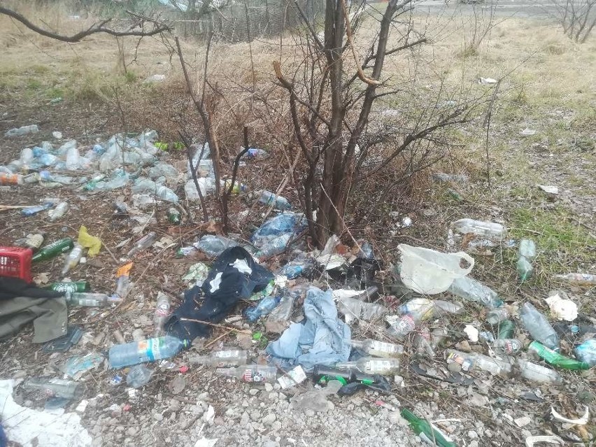 Wysypisko śmieci na Górnej - w pobliżu bloków nad ranem lokatorzy widzą, jak buszują na nim szczury 