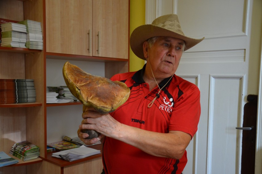 Rekordowy grzyb. Borowik gigant ważył 1,6 kg!