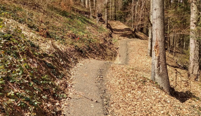 W okolicy Cisnej w Bieszczadach powstała nowa trasa rowerowa. Singletrack ma długość 13 kilometrów [ZDJĘCIA]