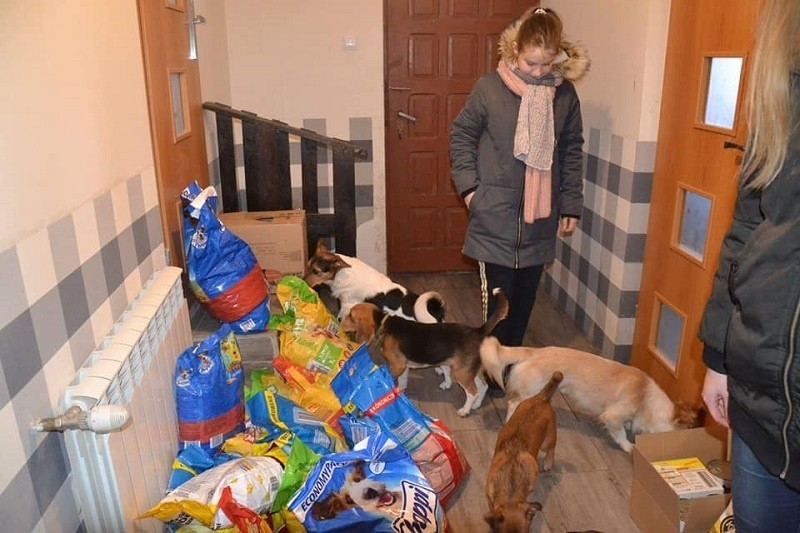 Zbiórka karmy dla bezdomnych psów i kotów w pińczowskiej Głodzilli  zakończona. Dary trafiły do domu w miejscowości Włochy [ZDJĘCIA]