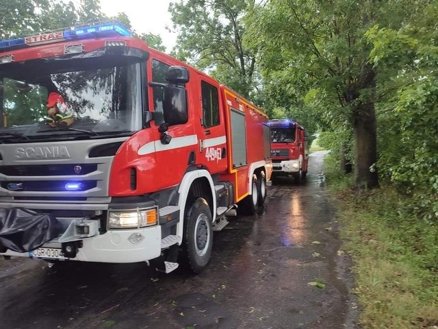 Strażacy walczyli ze skutkami burz w okolicy Grudziądza. Najwięcej interwencji dotyczyło połamanych drzew i konarów