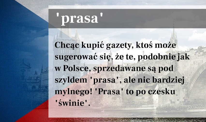 10 czeskich słów, które znaczą zupełnie co innego niż w j. polskim. Tych słów w Czechach nie używaj!