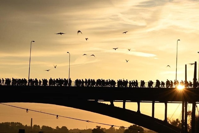 Reprezentacja Akademii Marynarki Wojennej w De 4Daagse, największym i najstarszym marszu na świecie!