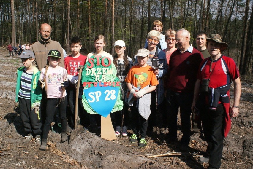 Sadzenie Lasu Europejskiego w Dąbrowie Górniczej w 2015 i...