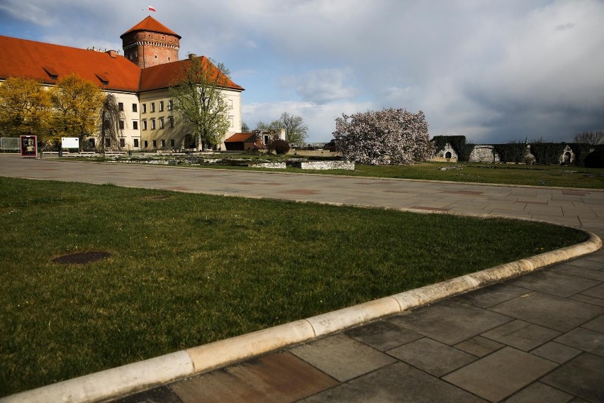 Kraków. Czytelnik: "Nie jest łatwo być niepełnosprawnym turystą na Wawelu". Rzecznik przeprasza i wyjaśnia