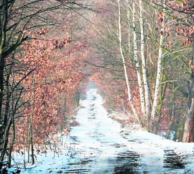 Na Łężczoku będzie w sumie ponad 3 km ścieżek dla turystów