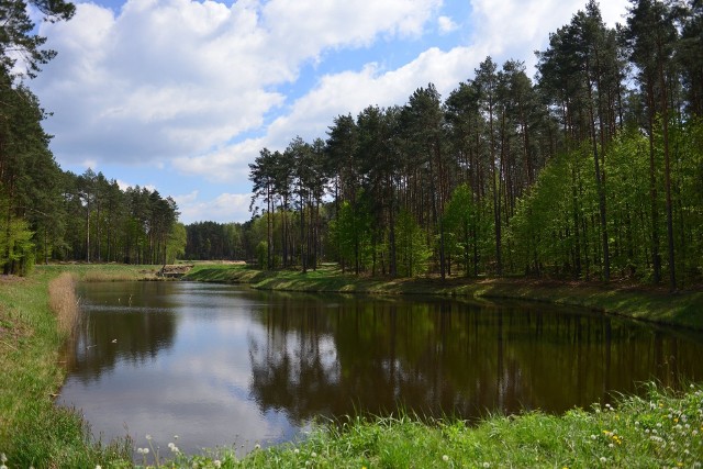 Powstałe stawy zachwycają swoją urodą