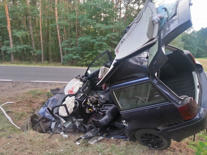 Tragiczny wypadek koło Uniejowa. Nie żyje 19-latek [FOTO, FILM]