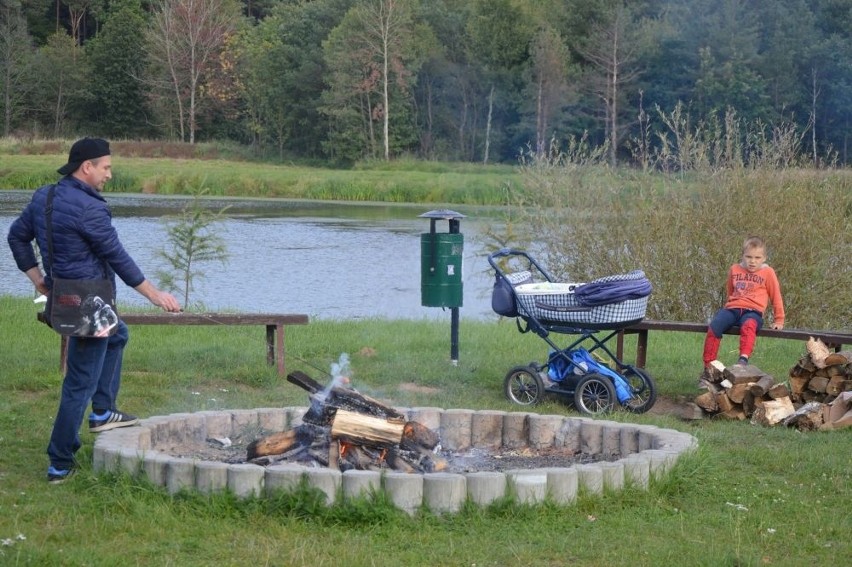 Eko - Piknik w Suchedniowie ze skuteczną zabawą. Będą domki dla pszczół [ZDJĘCIA]