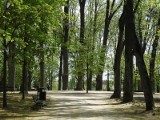 Miasto organizuje festyn ekologiczny w parku przy ZOO. Pod hasłem "Drugie życie drzew" 