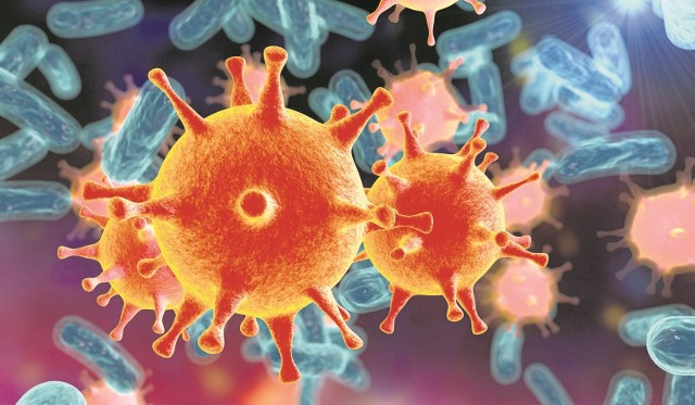 Nasz wróg, czyli wirusy i  bakterie,  pod  mikroskopem