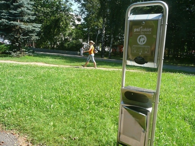 Na jeden ze zniszczonych pakietów można trafić przy alejce przecinającej park miejski od ulicy Popiełuszki w kierunku szkoły muzycznej