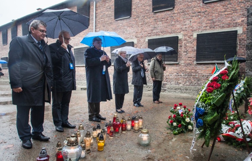 Kilkudziesięciu europarlamentarzystów odwiedziło KL Auschwitz i Centrum Maksymiliana w Harmężach