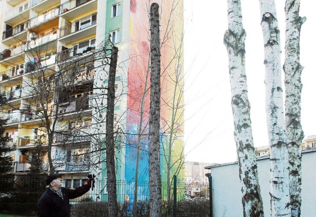 Marian Wielochowski, a także inni mieszkańcy bloków przy ul. Barskiej, nie mogą się nadziwić, że można tak okaleczyć drzewa