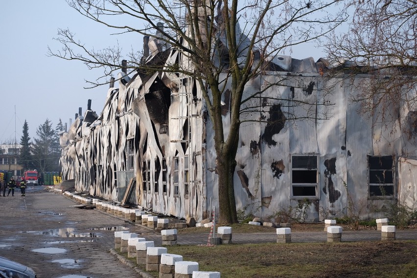 Wielki pożar na Grunwaldzie. Spłonęła Jump Arena