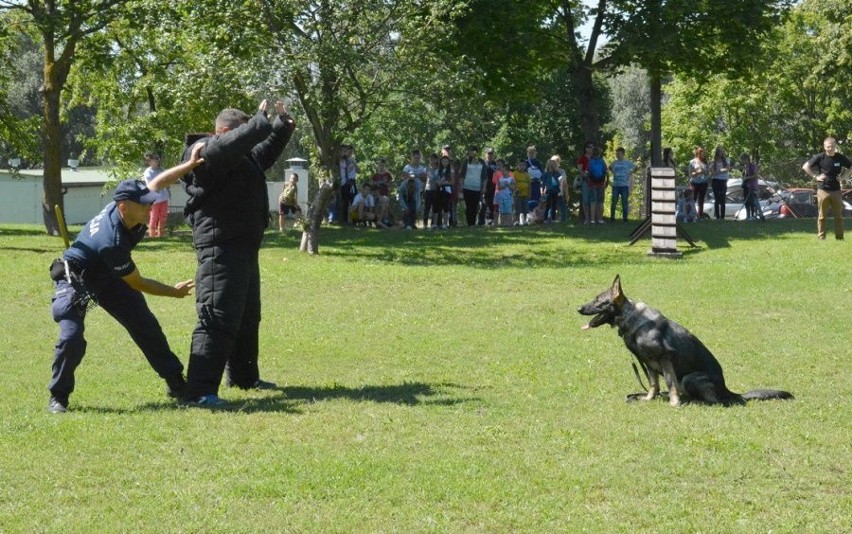 Pies policyjny na służbie. Zachwyca swoimi umiejętnościami (zdjęcia, wideo)