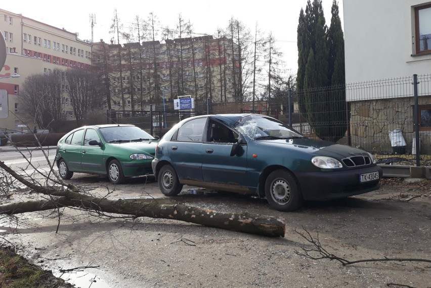 W Miechowie konar drzewa uszkodził samochód osobowy