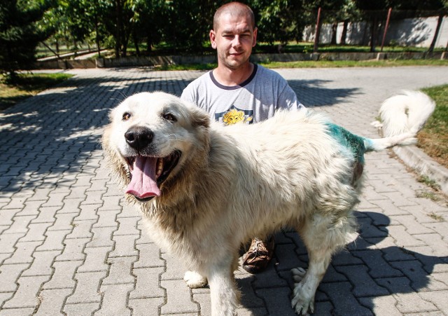 Brutus mimo choroby jest wesołym psem. Na zdjęciu z opiekunem ze schroniska "Kundelek".