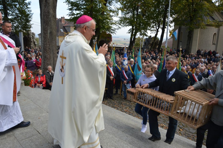 Pielgrzymka hodowców gołębi na Górę św. Anny