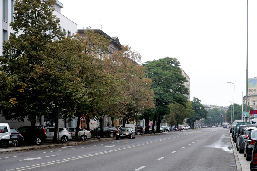 Przebudowa al. Wojska Polskiego. Jednak z tramwajem? 