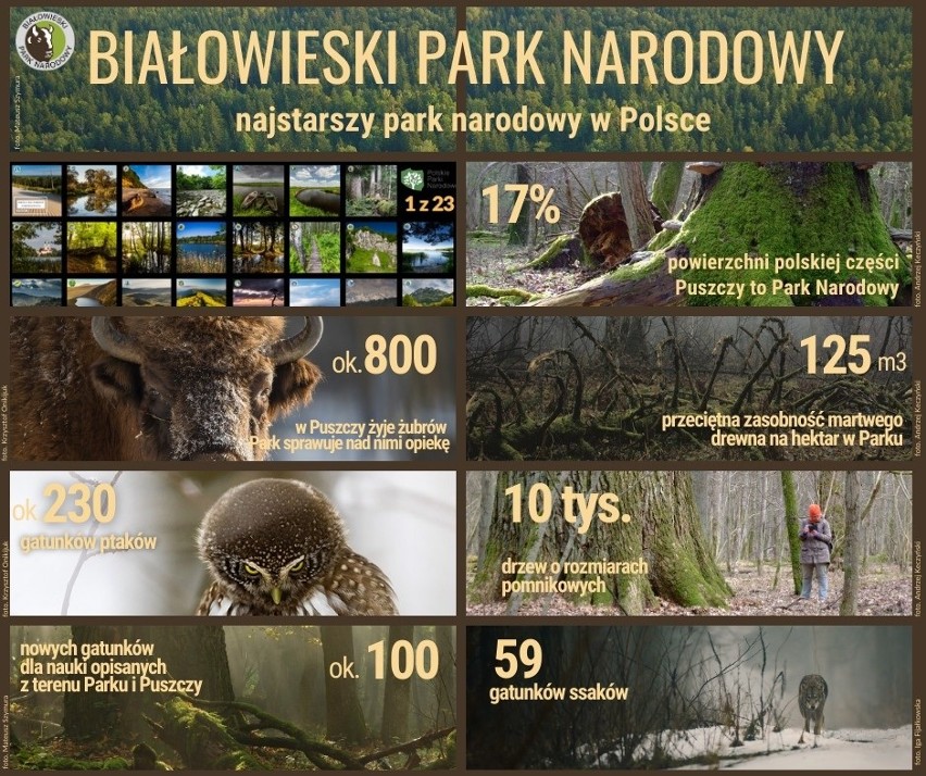 Białowieski Park Narodowy w liczbach