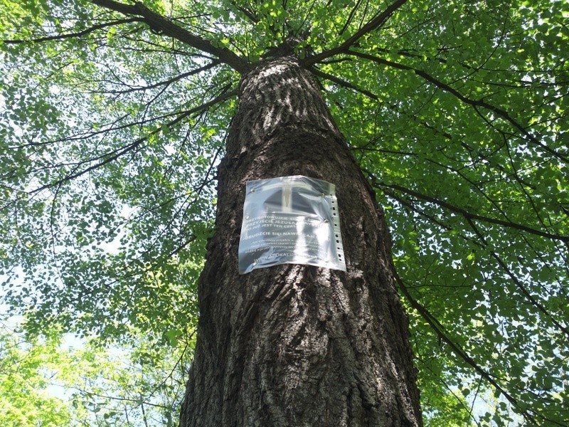 Setki plakatów we wrocławskich parkach: "Zacznie się sąd ostateczny" [ZDJĘCIA]